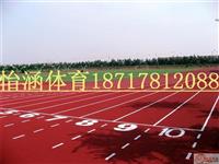 怡涵塑胶跑道 塑胶地坪施工厂家