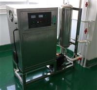 泡椒凤爪消毒|高浓度臭氧水机|佳环臭氧发生器厂家直销