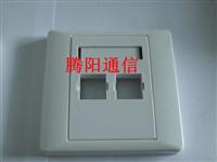光纤信息面板 双口光纤信息面板