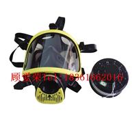 供应头套式防毒面具