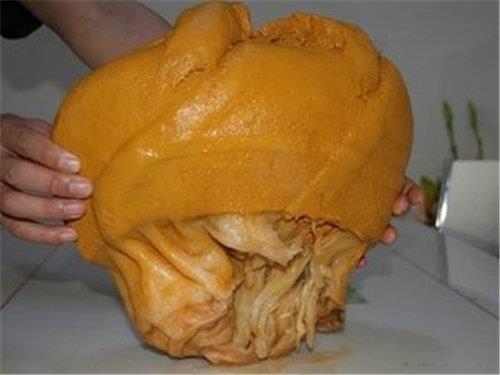 卖千年太岁有哪些渠道