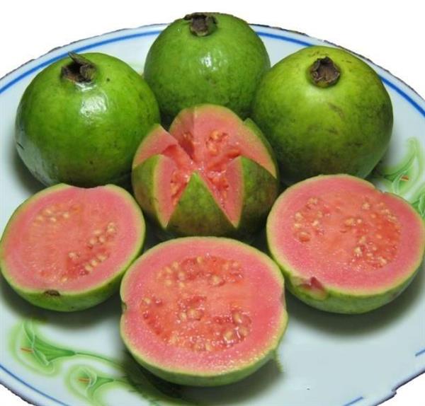 温州缅甸水果进口海运报关代理公司