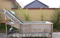 蔬菜清洗机果蔬加工设备净菜清洗流水线康成长期供应