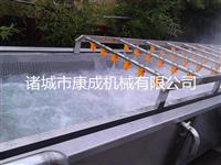 山东康成KC-1000蔬菜清洗机国产蔬菜清洗机厂家