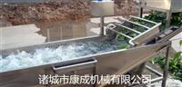 气泡清洗机气泡清洗流水线金针菇气泡清洗设备