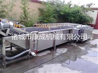 蔬菜清洗设备杀菌消毒臭氧蔬菜清洗设备康成机械